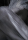 vampirediariesworld_dot_nl-IntoTheSun3468.jpg