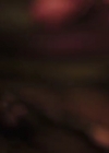 VampireDiariesWorld-dot-MichaelMalarkeyCaptainSolitaire0847.jpg