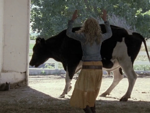 VampireDiariesWorld-dot-nl_CowBelles3304.jpg