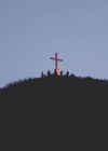 Filename=186.jpg
Filesize=12KiB
Dimensions=1080x1080
Date added=Dec 19, 2019 186.jpg