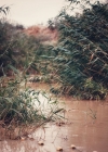 014-2.jpg