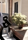 Filename=VampireDiariesWorld-dot-nl_SignificantMother-1x09-1138.jpg
Filesize=168KiB
Dimensions=720x404
Date added=Oct 26, 2015 VampireDiariesWorld-dot-nl_SignificantMother-1x09-1138.jpg