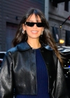 Filename=041.jpg
Filesize=988KiB
Dimensions=2048x1365
Date added=Mar 29, 2025 041.jpg