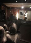 Filename=026.jpg
Filesize=35KiB
Dimensions=597x589
Date added=Sep 01, 2019 026.jpg