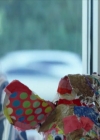 VampireDiariesWorld-dot-nl-SickGirl4379.jpg