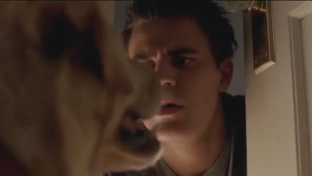 VampireDiariesWorld-dot-org-FallenPart1-1515.jpg VampireDiariesWorld-dot-org-FallenPart1-1515.jpg