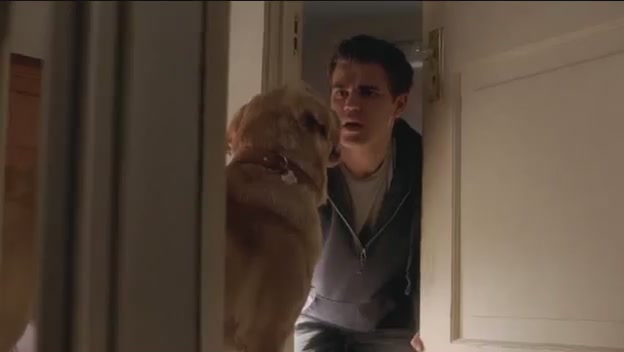 VampireDiariesWorld-dot-org-FallenPart1-1528.jpg VampireDiariesWorld-dot-org-FallenPart1-1528.jpg