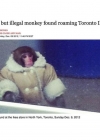 Filename=102.jpg
Filesize=41KiB
Dimensions=640x640
Date added=Dec 07, 2023 102.jpg