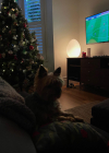 Filename=121-5.jpg
Filesize=195KiB
Dimensions=1440x1799
Date added=Jan 15, 2023 121-5.jpg