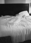 019-7.jpg
