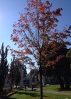 Filename=131.jpg
Filesize=125KiB
Dimensions=640x640
Date added=Dec 26, 2017 131.jpg