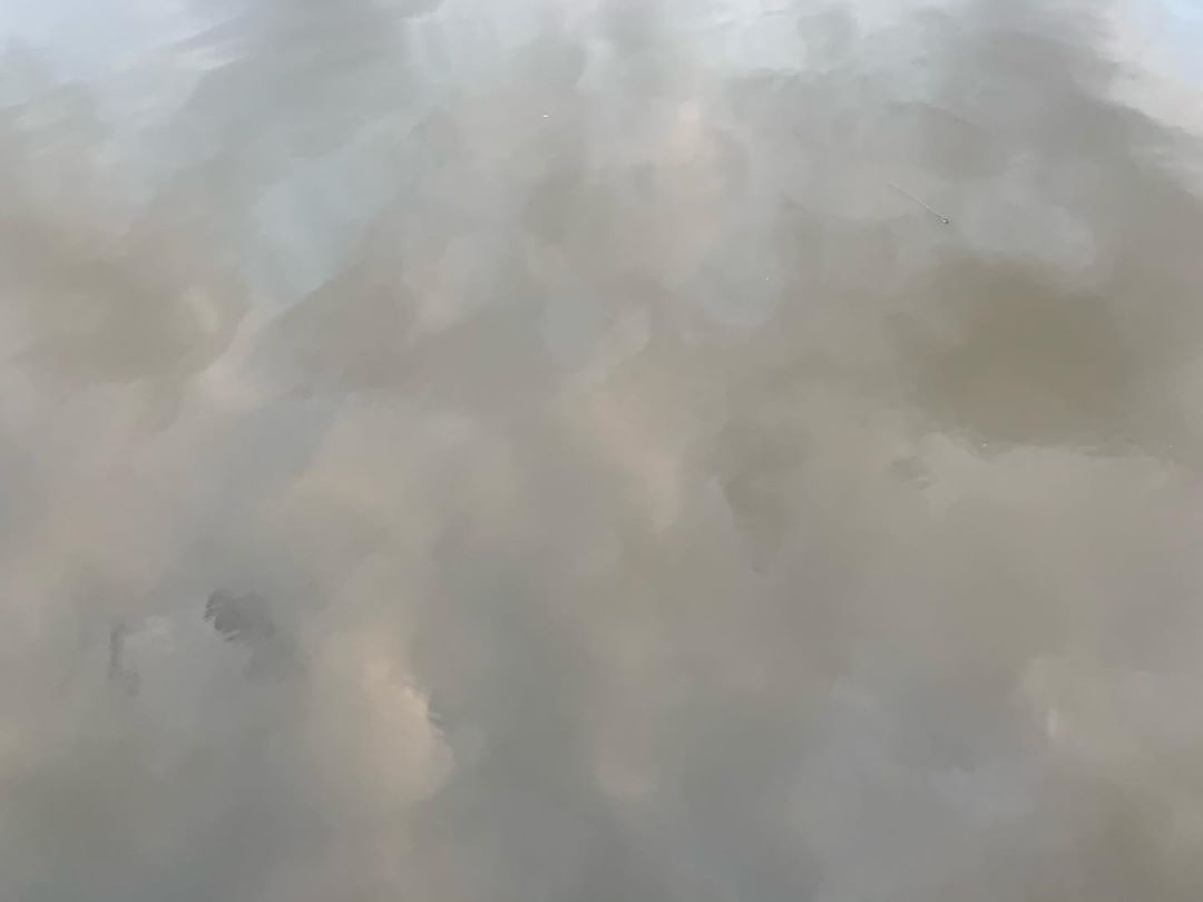 010.jpg