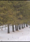 VampireDiariesWorld-CoupledUpForChristmas3413.jpg