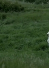Filename=VampireDiariesWorld-dot-org_HellOnWheels-S04E06-2361.jpg
Filesize=136KiB
Dimensions=720x404
Date added=Oct 08, 2014 VampireDiariesWorld-dot-org_HellOnWheels-S04E06-2361.jpg