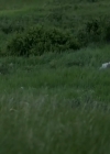 Filename=VampireDiariesWorld-dot-org_HellOnWheels-S04E06-2382.jpg
Filesize=142KiB
Dimensions=720x404
Date added=Oct 08, 2014 VampireDiariesWorld-dot-org_HellOnWheels-S04E06-2382.jpg