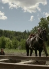 Filename=VampireDiariesWorld-dot-org_HellOnWheels-S04E06-2444.jpg
Filesize=191KiB
Dimensions=720x404
Date added=Oct 08, 2014 VampireDiariesWorld-dot-org_HellOnWheels-S04E06-2444.jpg