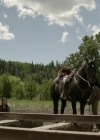 Filename=VampireDiariesWorld-dot-org_HellOnWheels-S04E06-2445.jpg
Filesize=192KiB
Dimensions=720x404
Date added=Oct 08, 2014 VampireDiariesWorld-dot-org_HellOnWheels-S04E06-2445.jpg