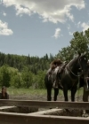 Filename=VampireDiariesWorld-dot-org_HellOnWheels-S04E06-2446.jpg
Filesize=192KiB
Dimensions=720x404
Date added=Oct 08, 2014 VampireDiariesWorld-dot-org_HellOnWheels-S04E06-2446.jpg