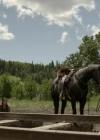 Filename=VampireDiariesWorld-dot-org_HellOnWheels-S04E06-2448.jpg
Filesize=190KiB
Dimensions=720x404
Date added=Oct 08, 2014 VampireDiariesWorld-dot-org_HellOnWheels-S04E06-2448.jpg