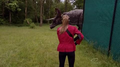 VampireDiariesWorld-dot-org_PrimevalNewWorld-1x09-1436.jpg