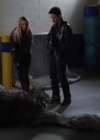 VampireDiariesWorld-dot-org_PrimevalNewWorld-1x10-2118.jpg