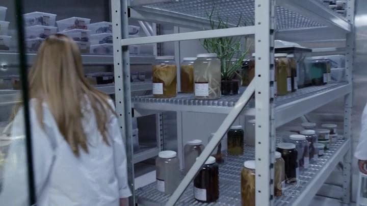 VampireDiariesWorld-dot-org_PrimevalNewWorld-1x11-2135.jpg