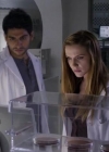 Filename=VampireDiariesWorld-dot-org_PrimevalNewWorld-1x11-2153.jpg
Filesize=31KiB
Dimensions=720x404
Date added=Feb 07, 2013 VampireDiariesWorld-dot-org_PrimevalNewWorld-1x11-2153.jpg