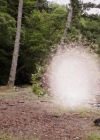 VampireDiariesWorld-dot-org_PrimevalNewWorld-1x12-1292.jpg