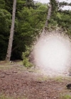 VampireDiariesWorld-dot-org_PrimevalNewWorld-1x12-1293.jpg