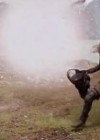 VampireDiariesWorld-dot-org_PrimevalNewWorldS01E13-0344.jpg
