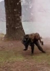 VampireDiariesWorld-dot-org_PrimevalNewWorldS01E13-0345.jpg