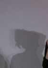 010.jpg