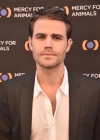 paul005.jpg