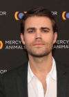 paul008.jpg