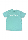 shirt-teal.png