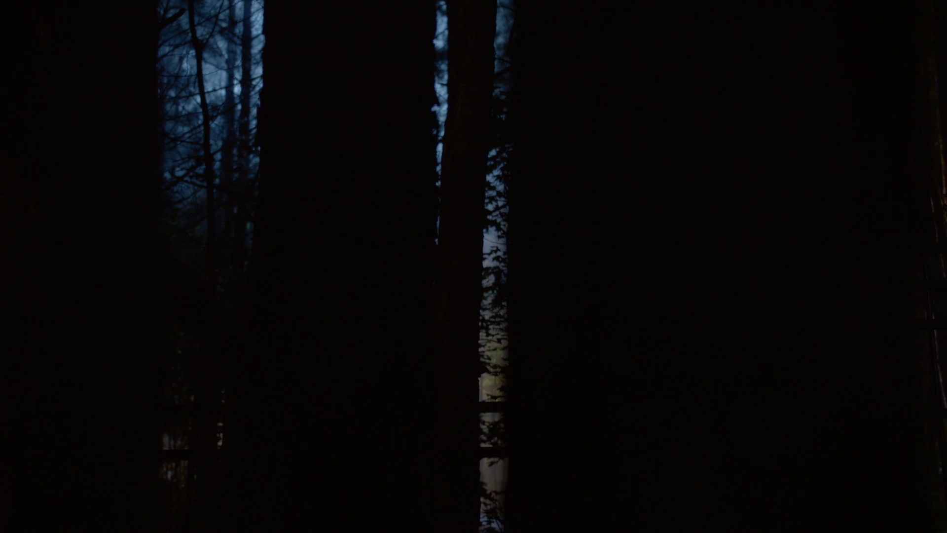 VampireDiariesWorld-dot-nl_Legacies1x01ThisIsthePartWhereYouRun00000.jpg