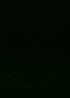 VampireDiariesWorld-dot-nl_Legacies1x03WereBeingPunkedPedro00008.jpg