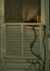 VampireDiariesWorld-dot-nl_Legacies1x05Malivore00006.jpg