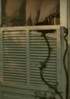 VampireDiariesWorld-dot-nl_Legacies1x05Malivore00007.jpg