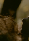Filename=VampireDiariesWorld-dot-nl_Legacies1x05Malivore01957.jpg
Filesize=598KiB
Dimensions=1920x1080
Date added=Nov 20, 2019 VampireDiariesWorld-dot-nl_Legacies1x05Malivore01957.jpg