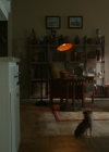 VampireDiariesWorld-dot-nl_Legacies1x08MaybeIShouldStartFromTheEnd00283.jpg