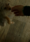 VampireDiariesWorld-dot-nl_Legacies1x08MaybeIShouldStartFromTheEnd00289.jpg