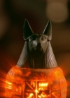 VampireDiariesWorld-dot-nl_Legacies1x08MaybeIShouldStartFromTheEnd02334.jpg