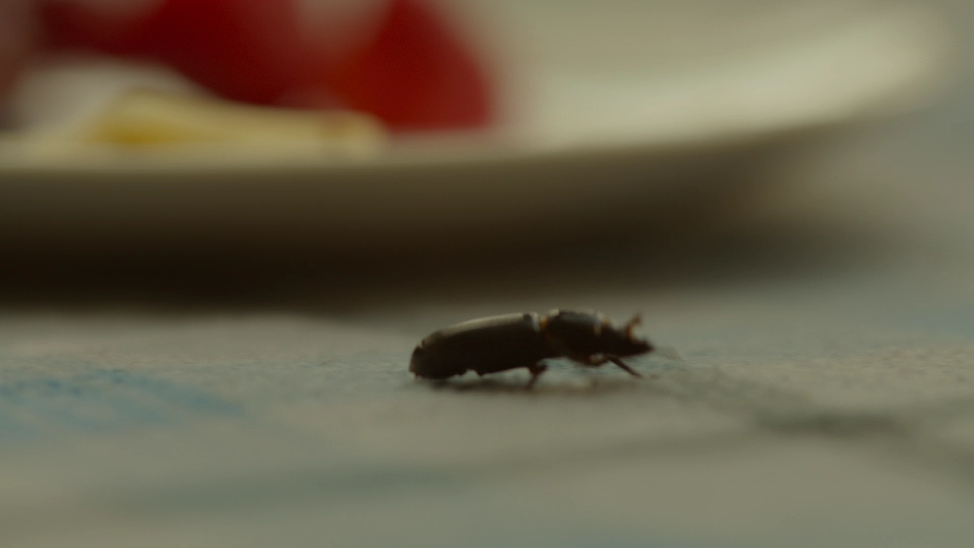 VampireDiariesWorld-dot-nl_Legacies1x12TheresAMummyOnMainStreet00000.jpg VampireDiariesWorld-dot-nl_Legacies1x12TheresAMummyOnMainStreet00000.jpg