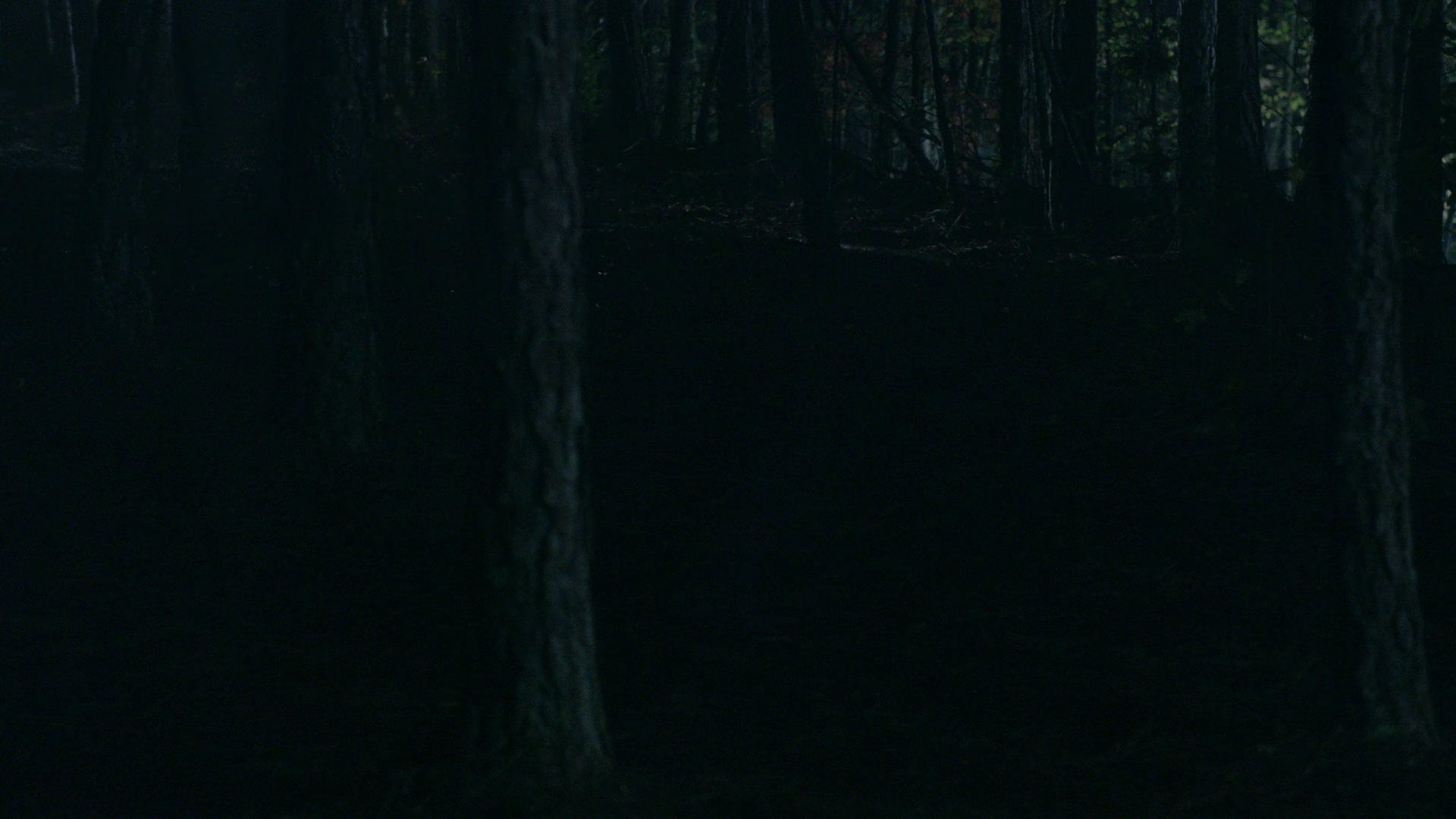 VampireDiariesWorld-dot-nl_Legacies1x13TheBoyWhoStillHasALotToDo02083.jpg