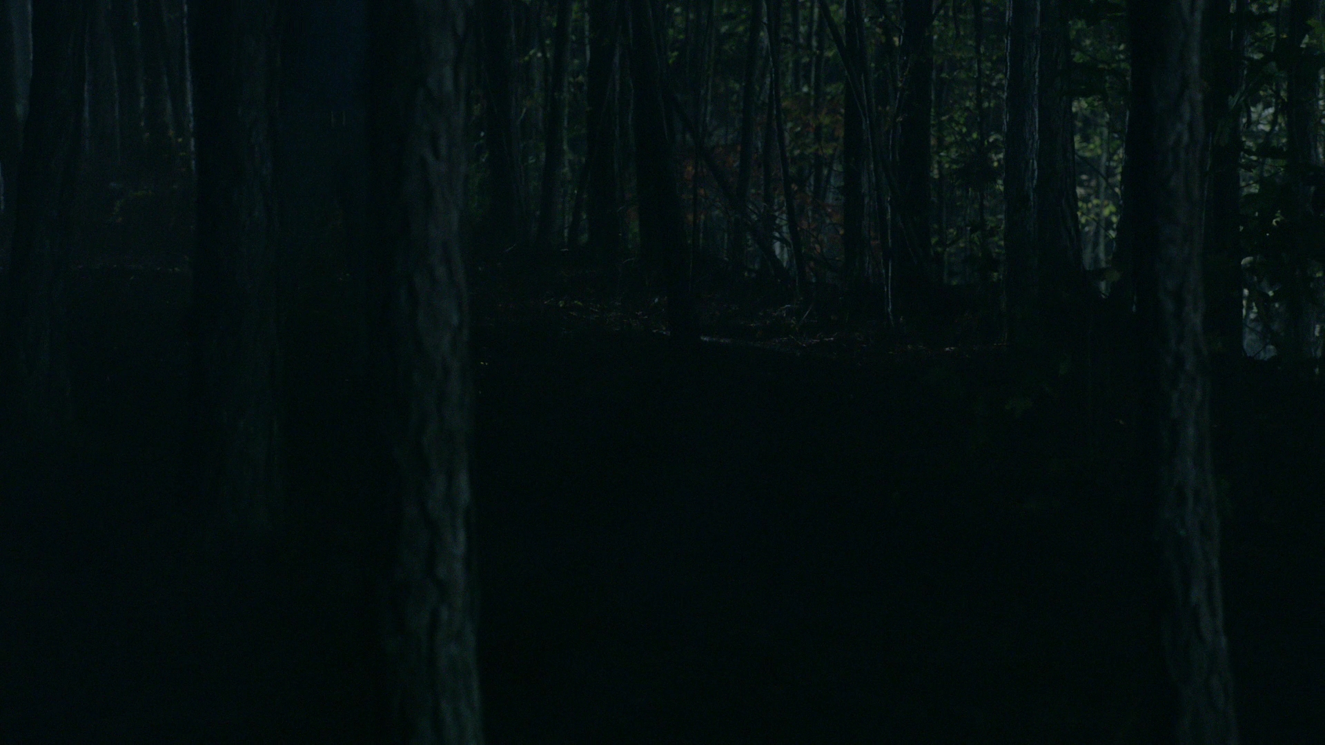 VampireDiariesWorld-dot-nl_Legacies1x13TheBoyWhoStillHasALotToDo02085.jpg