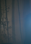 VampireDiariesWorld-dot-nl_Legacies1x13TheBoyWhoStillHasALotToDo00059.jpg