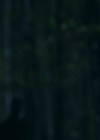 VampireDiariesWorld-dot-nl_Legacies1x13TheBoyWhoStillHasALotToDo02278.jpg