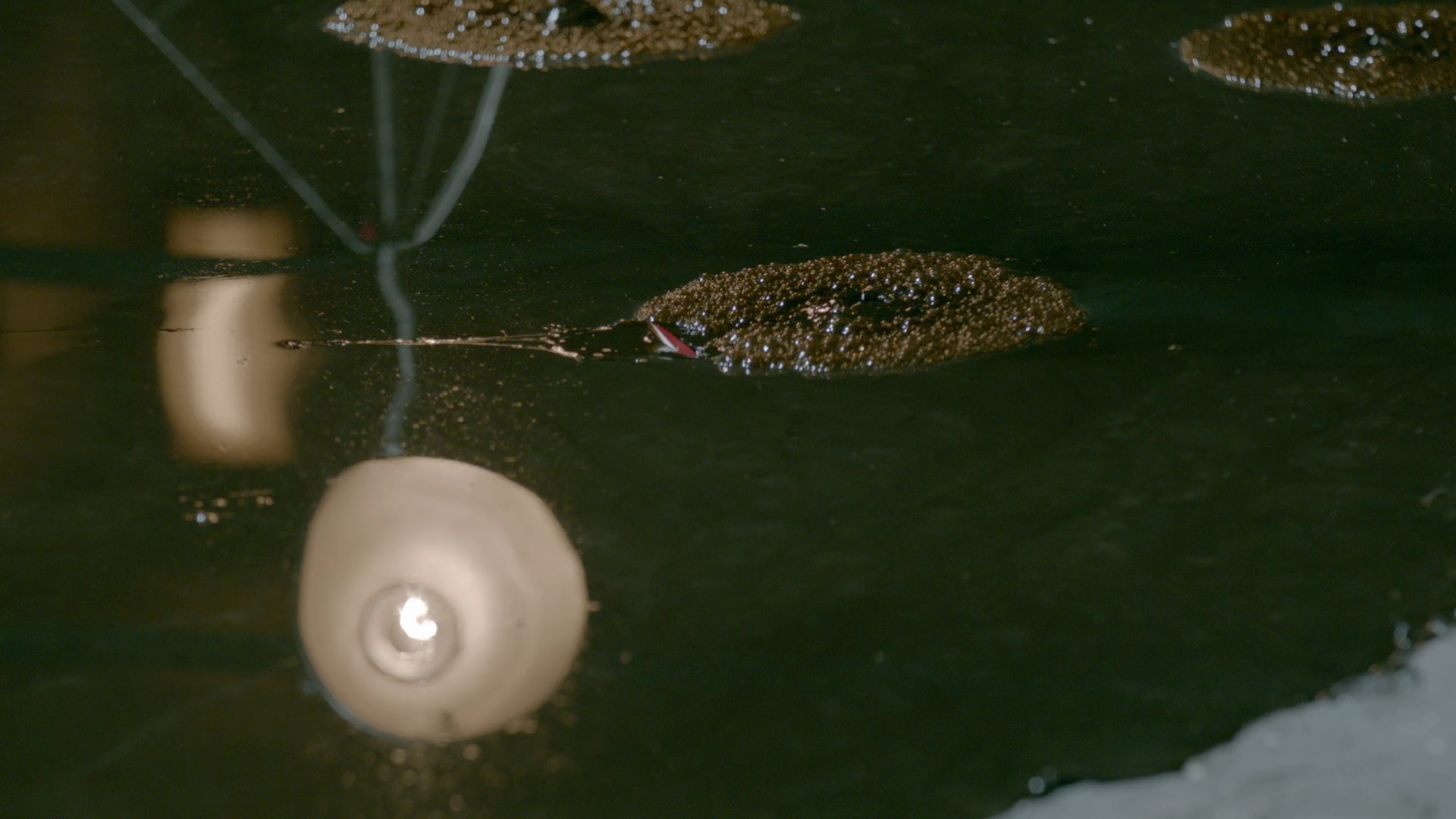 VampireDiariesWorld-dot-nl_Legacies1x15IllTellYouAStory00048.jpg