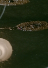 VampireDiariesWorld-dot-nl_Legacies1x15IllTellYouAStory00048.jpg